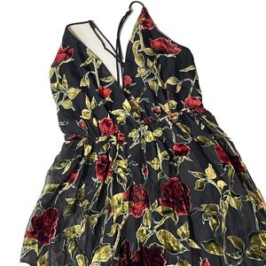 Maniju Burnout Velvet Rose Gown Size L Lined Fairytale Whimsigoth Maxi Dress NWT